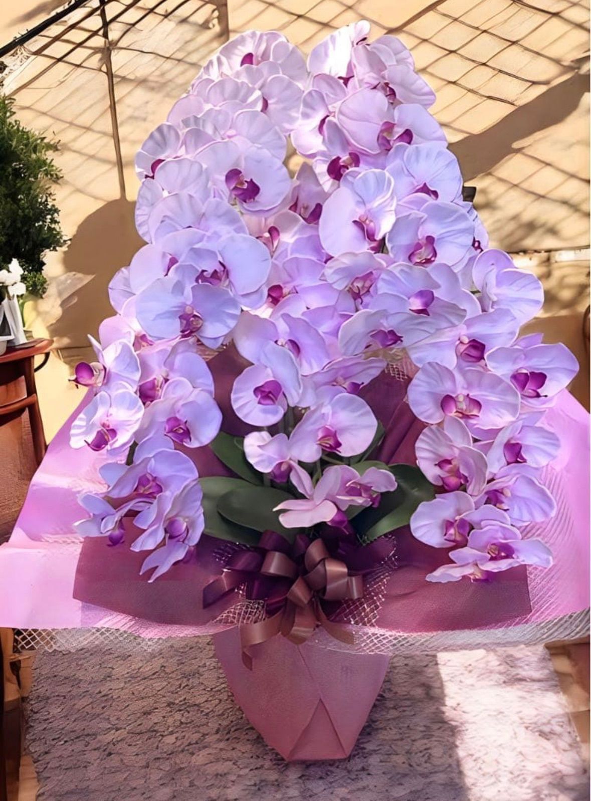 光触媒 人工観葉植物 ウォールグリーン フェイクグリーン 胡蝶蘭8550