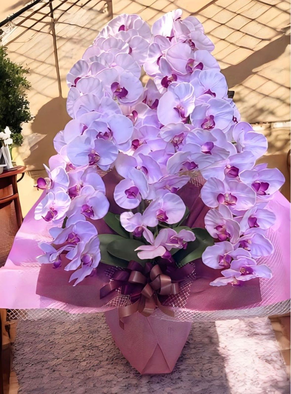 光触媒 人工観葉植物 ウォールグリーン フェイクグリーン 胡蝶蘭8550