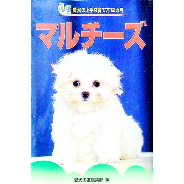 マルチーズ／愛犬の友編集部【編】 - メルカリ