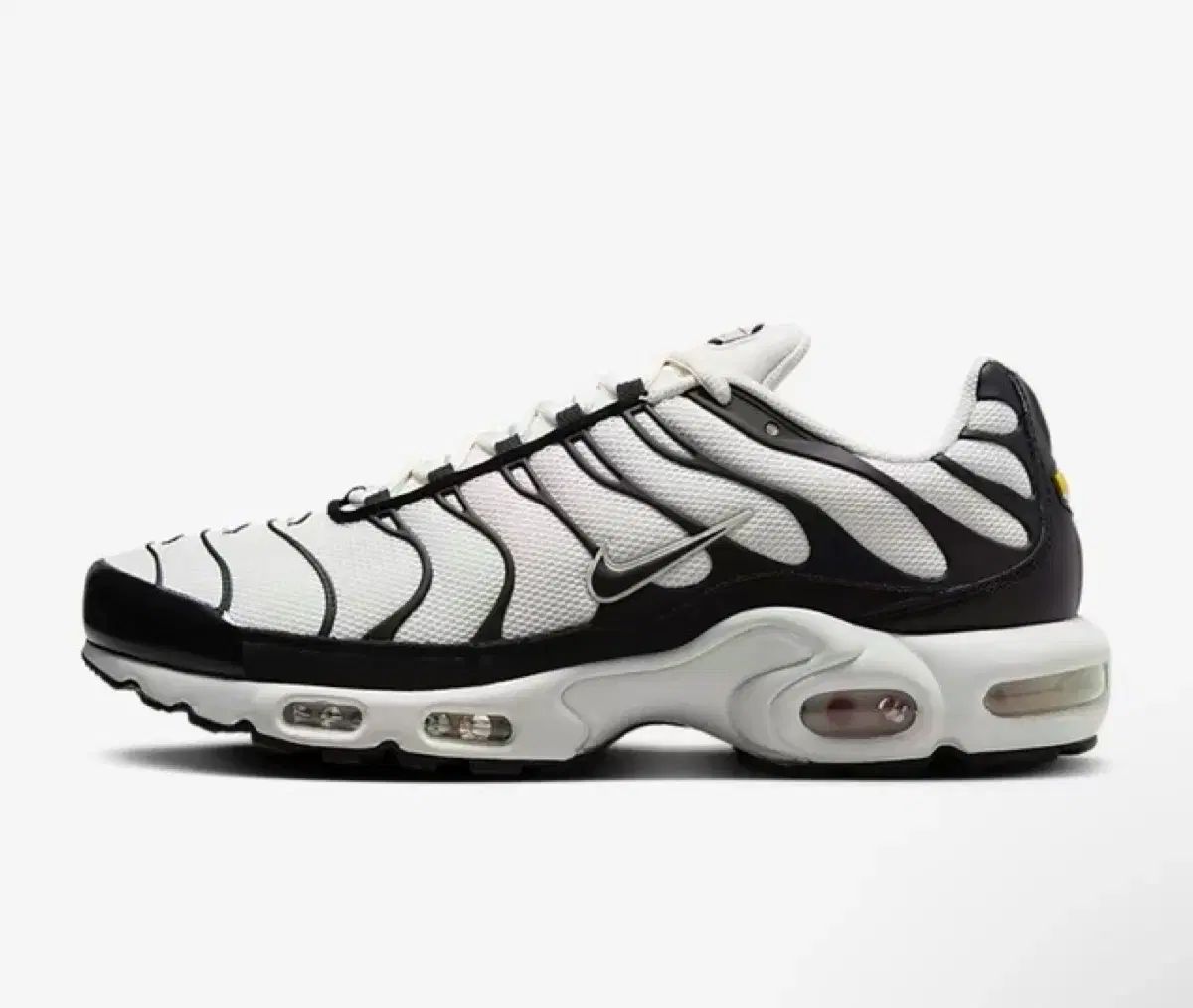 エッセンシャル