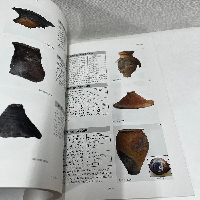 唐古・鍵遺跡 考古資料目録2 土器編2 弥生 搬入 特殊 2016年 田原本町