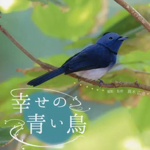 中古】単行本(実用) ≪動物学≫ 幸せの青い鳥 / 真木広造 - メルカリ