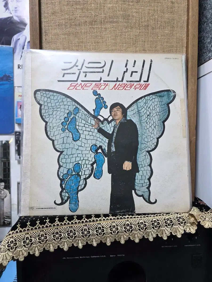 チェ ヒョン ブラックバタフライ lp