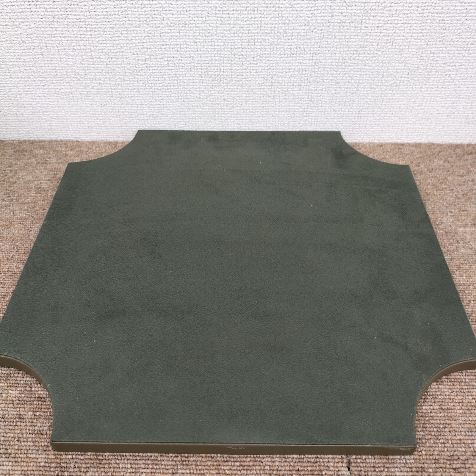レオパード スタンディング