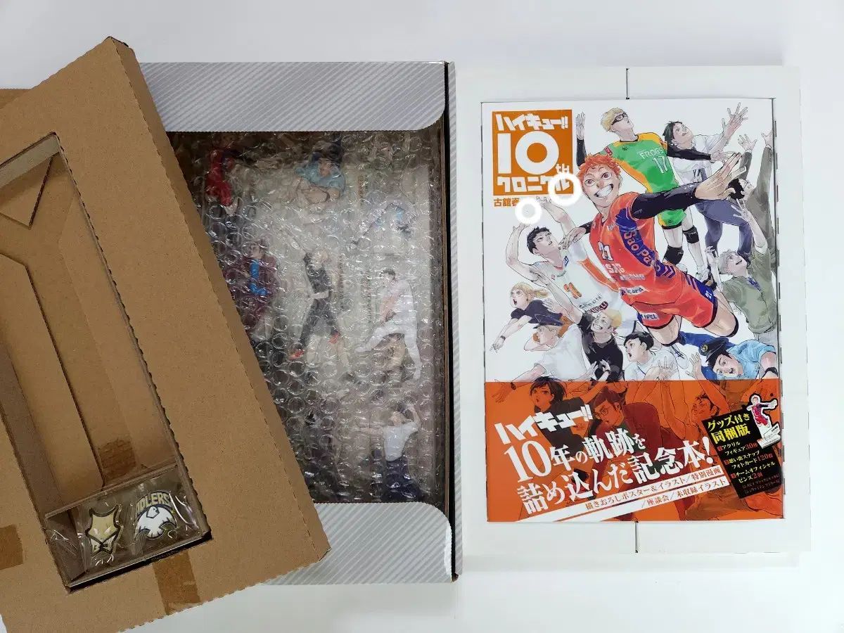 ハイキュー 10 周年 CHRONICLE 日本 願書 アクリル スタンド バッジ 未