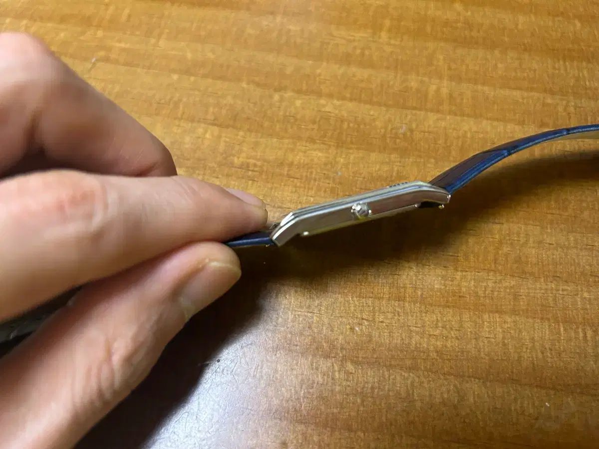 ブローバ サットン