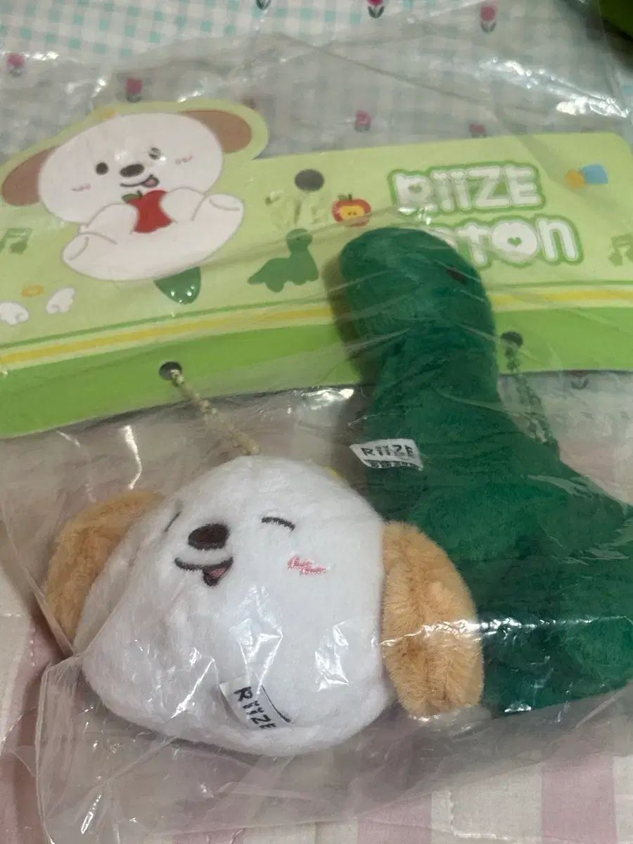 RIIZE（ライズ） 中国 上海 WONDERLAND リーライズ ポップアップ