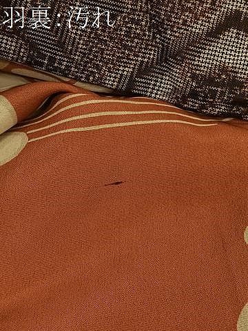 平和屋着物＃アンティーク 大正ロマン 長羽織 本場大島紬 菱文 正絹