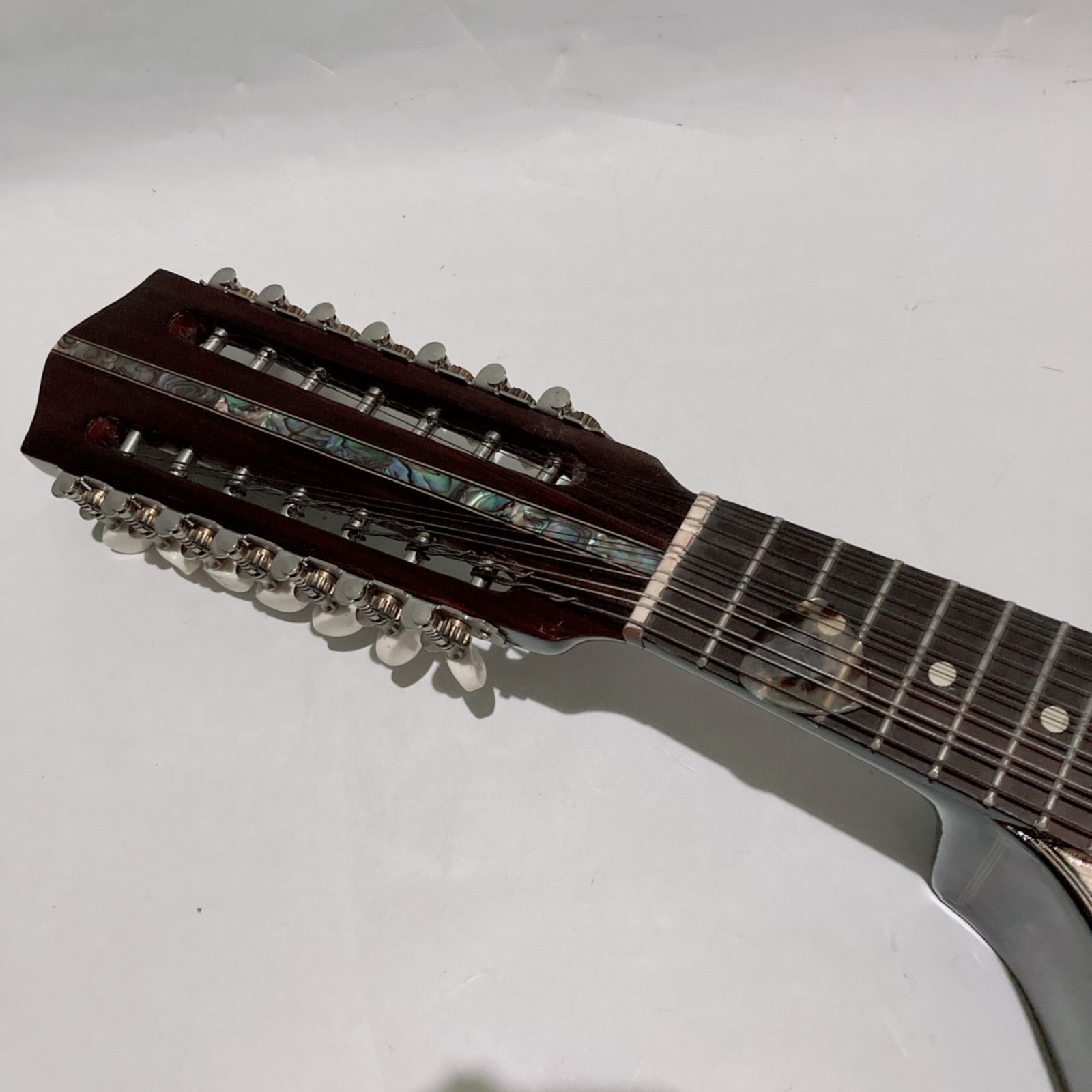 マンドリン バンドゥリア BANDOURIA ALEGRE 楽器 弦楽器 本体 ケース