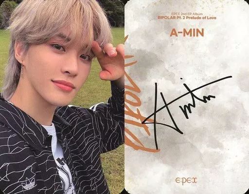 中古】コレクションカード(男性) EPEX/アミン(A-MIN)/裏面茶・印刷