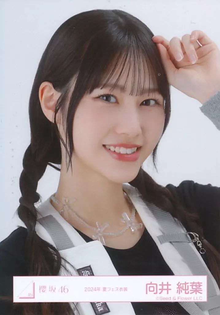 中古】生写真(乃木坂46) 櫻坂46/向井純葉/バストアップ/櫻坂46ランダム