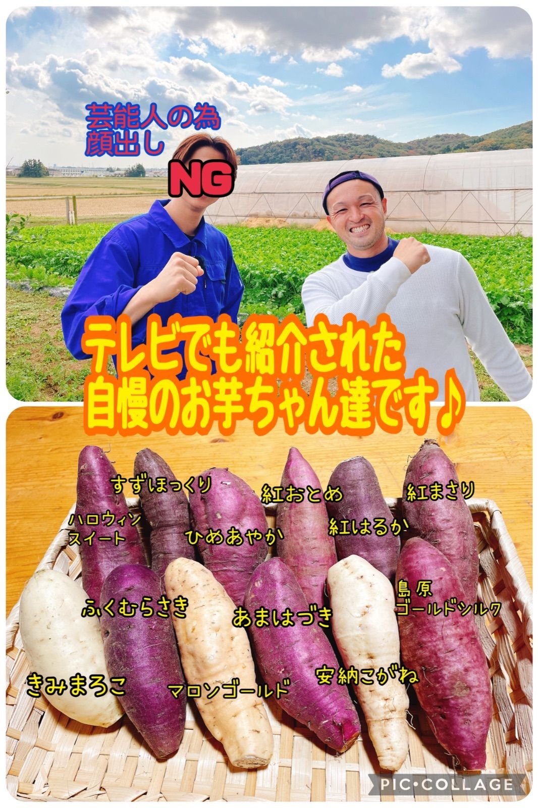 太っちゃん屋のベリうまさつまいも 超豪華10種類食べ比べSサイズセット