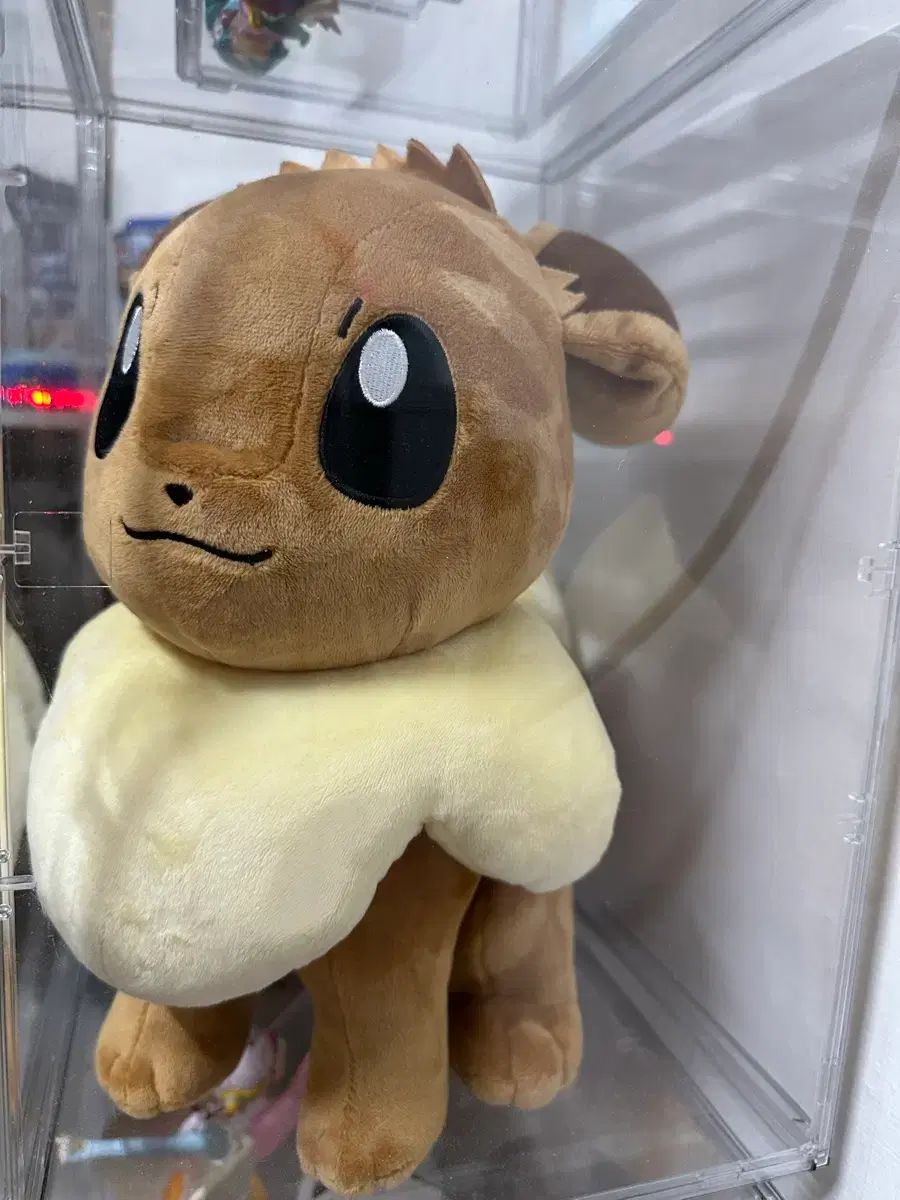 잠실 ポケモン ポップアップ ふわふわ イーブイ ぬいぐるみ 新品