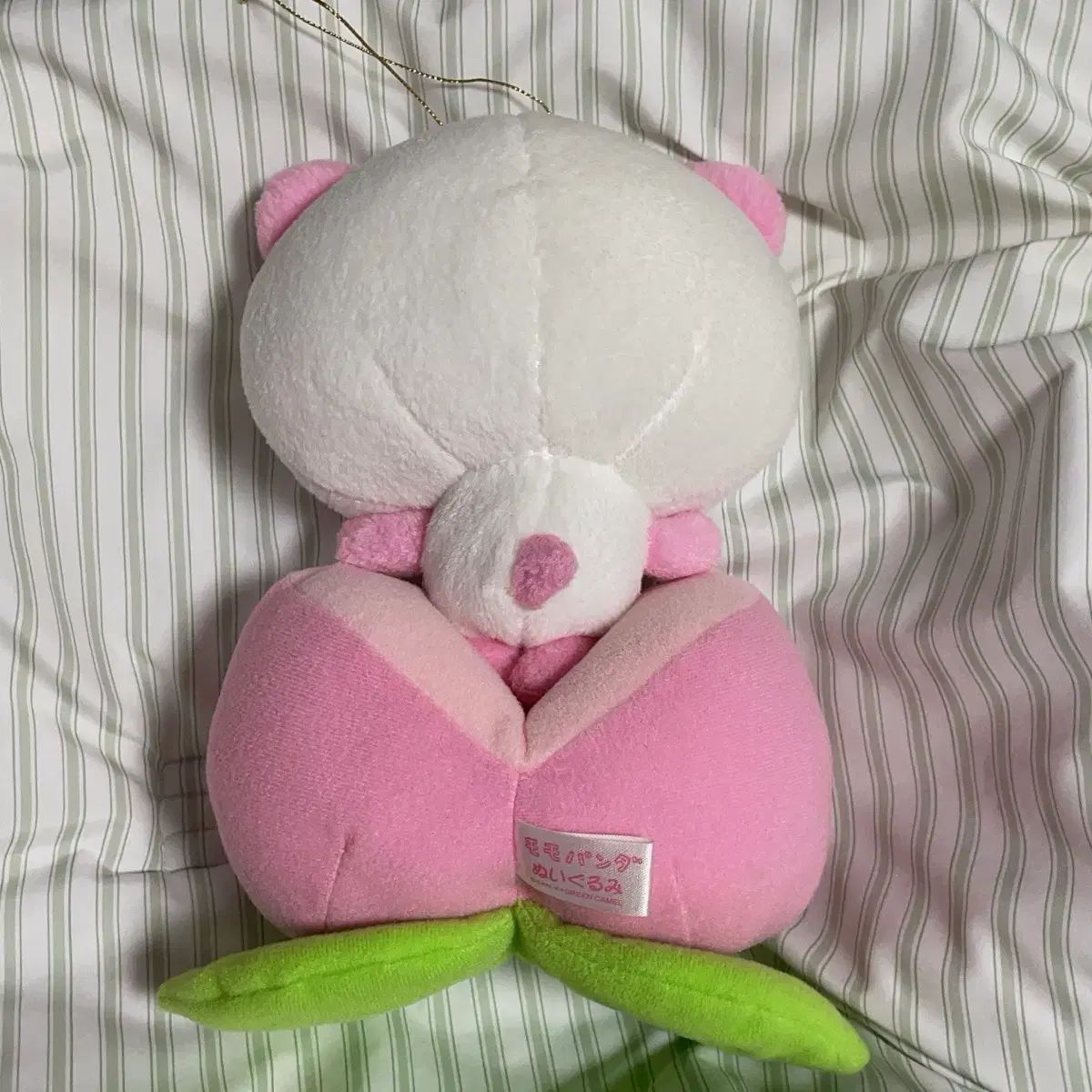 モモパンダ　ぬいぐるみ モモパンダ モモパンダぬいぐるみ 2点 san-x 希少 - メルカリ