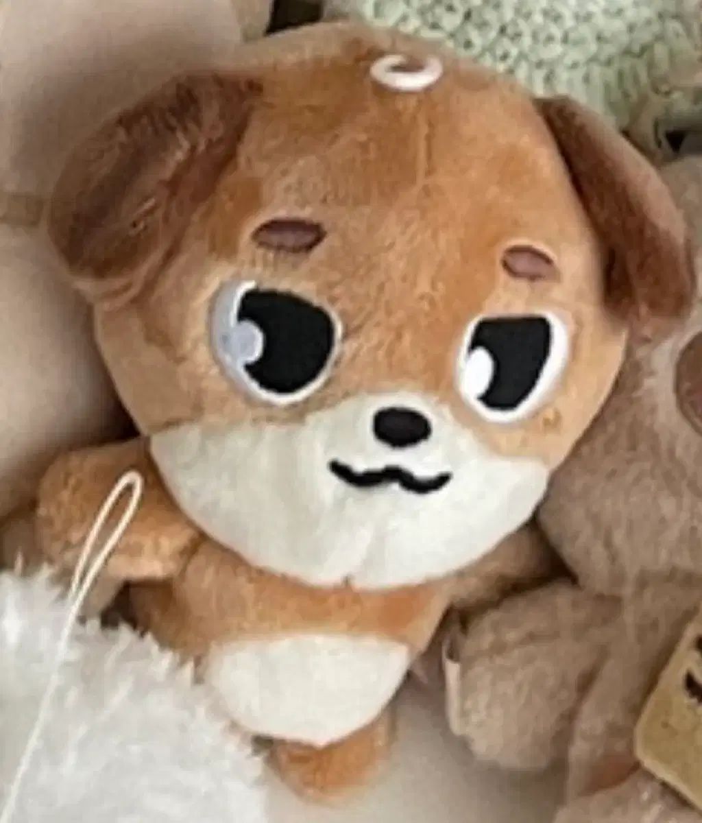 DAY6 バッグチャーム ヨンケイ ウォンピル ドウン DAY6 バッグチャーム ヨンケイ ウォンピル ドウン BAG CHARM - DON