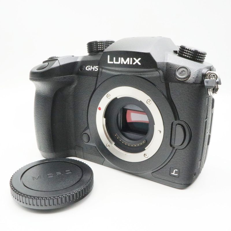 動作確認済 Panasonic パナソニック RD-SPM049 デジタル一眼カメラ LUMIX GH5ベース特殊仕様機 Wi-Fi転送のみモデル K10-t048 動作確認済 Panasonic パナソニック RD-SPM049 デジタル一眼カメラ