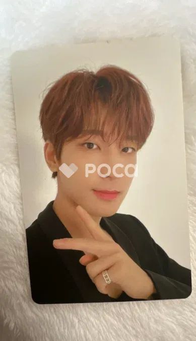 Seventeen セブチ ウォヌ SEVENTEEN 2021 SEASON'S GREETINGS - メルカリ