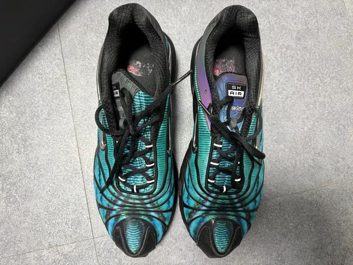 ナイキ エアマックス テイルウィンド 5 スケプタ 285