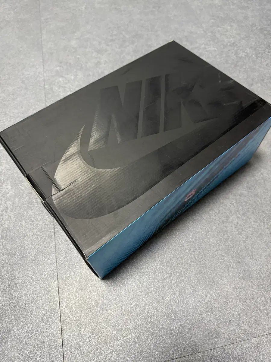  ナイキ エアマックス テイルウィンド 5 スケプタ 285 スニーカー 靴