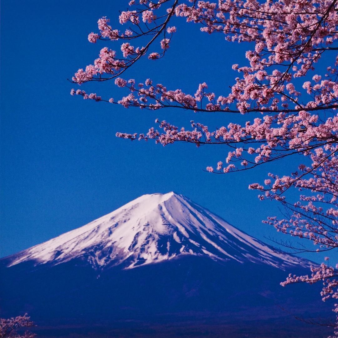 ○『桜と富士山』○がんどうあつし写真撮影・編集落款サイン入り20枚