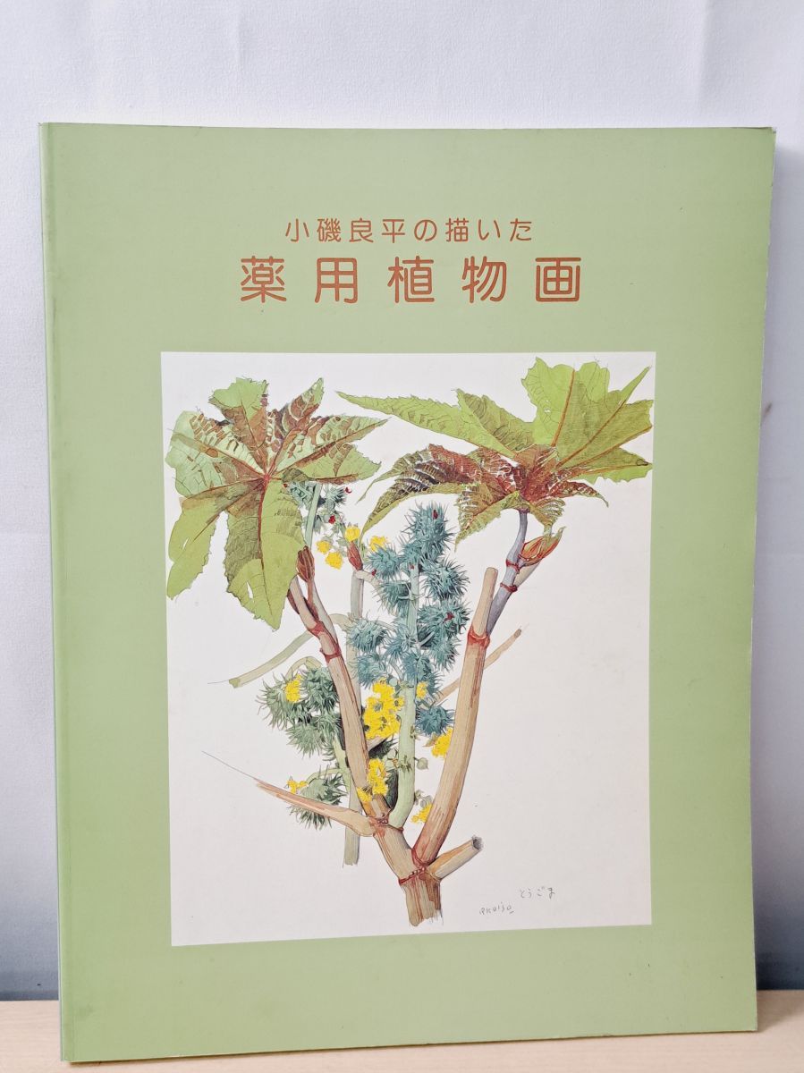 薬用植物画 小磯良平の描いた薬用植物画 神戸市立小磯良平記念美術館