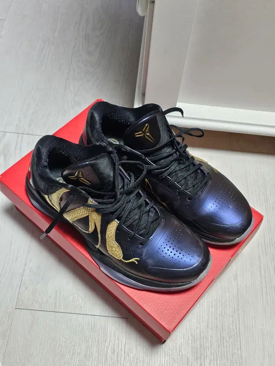 ナイキ コービー 5 プロトロ マムバ 285