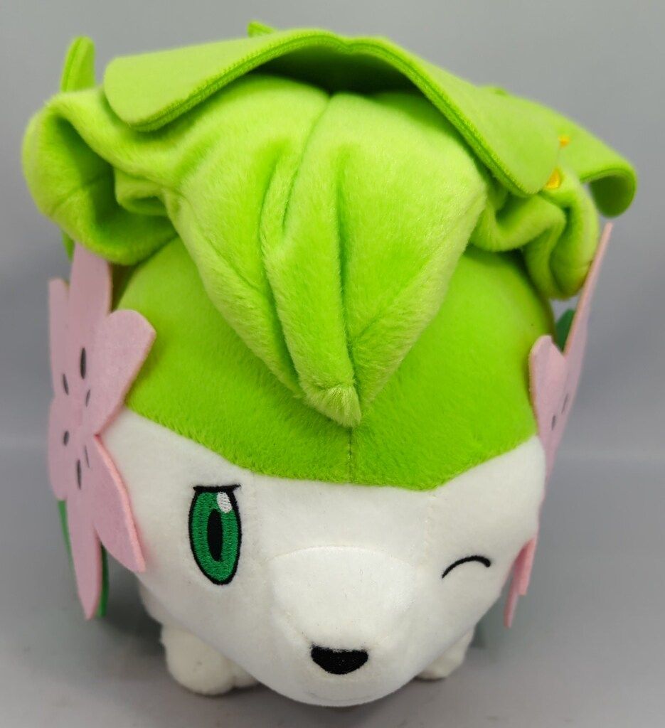 BANDAI SPIRITS ポケモンフォーカス 〈すがたが変わるポケモン