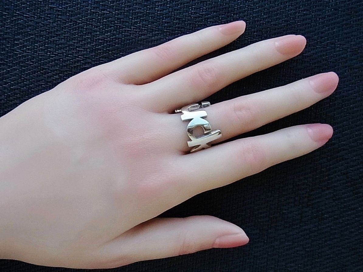 FUCKリング Fuck off !! のメッセージでぐるっと囲ったリング 反骨精神を忘れたくないあなたに