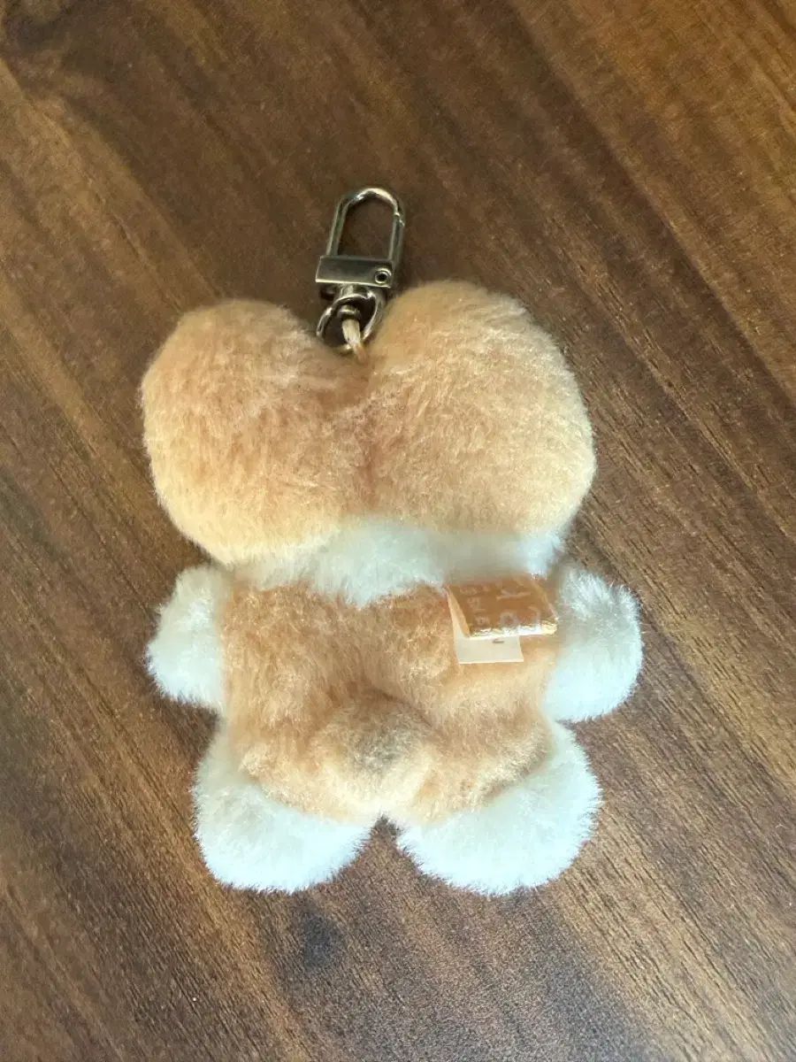 EXO ベクヒョン BAEKHYUN トレギ TEOLAEGI キーホルダー 開封