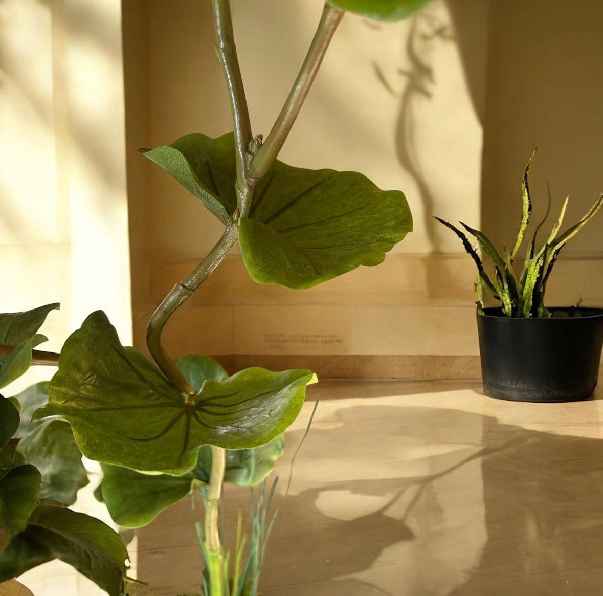 光触媒　人工観葉植物　ウォールグリーン　フェイクグリーン　シーグレープ1.25 光触媒 人工観葉植物 ウォールグリーン フェイクグリーン シーグレープ1.25