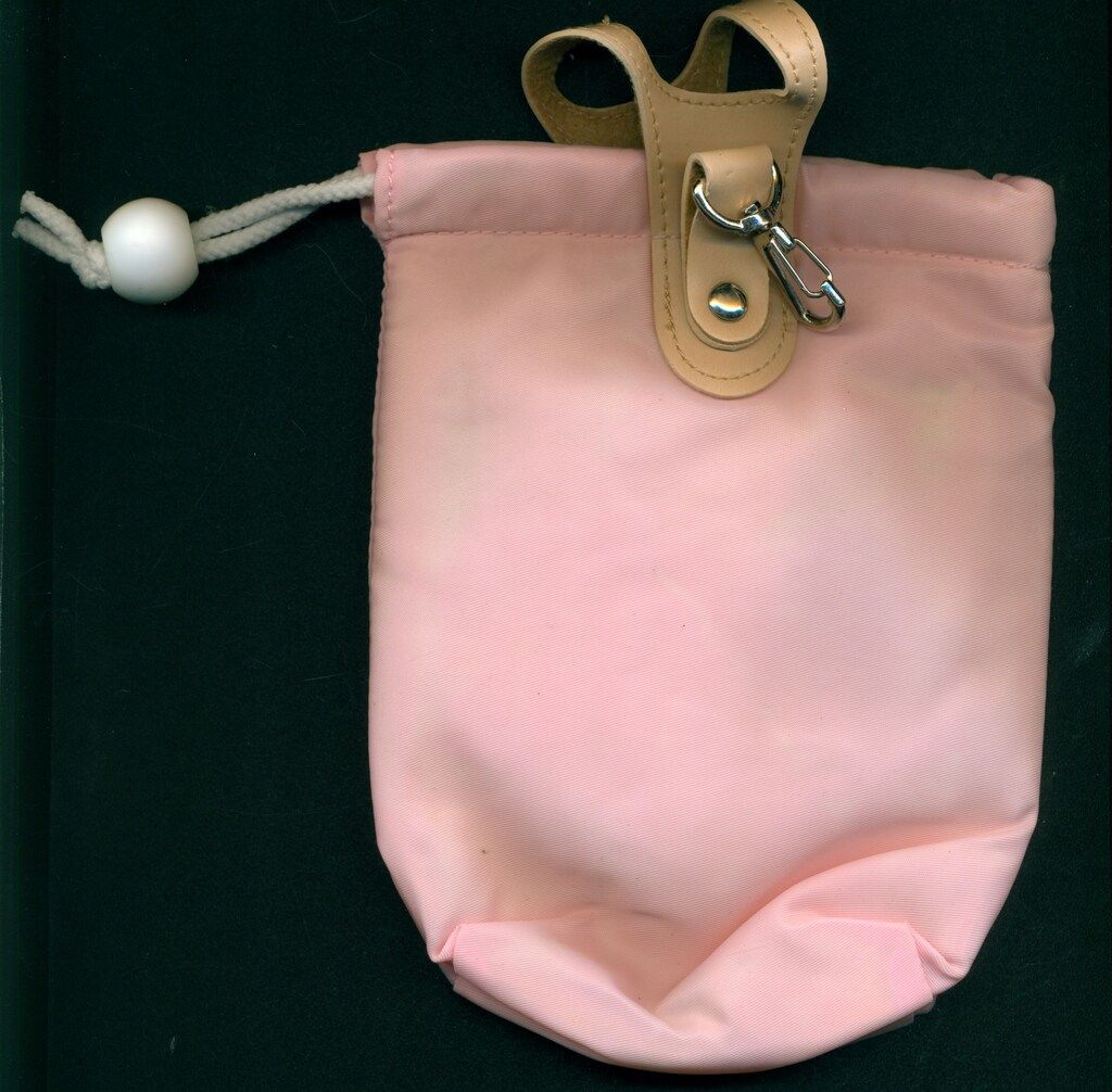 講談社 なかよし2002年(H15)7月号全プレ 征海未亜 東京ミュウミュウ