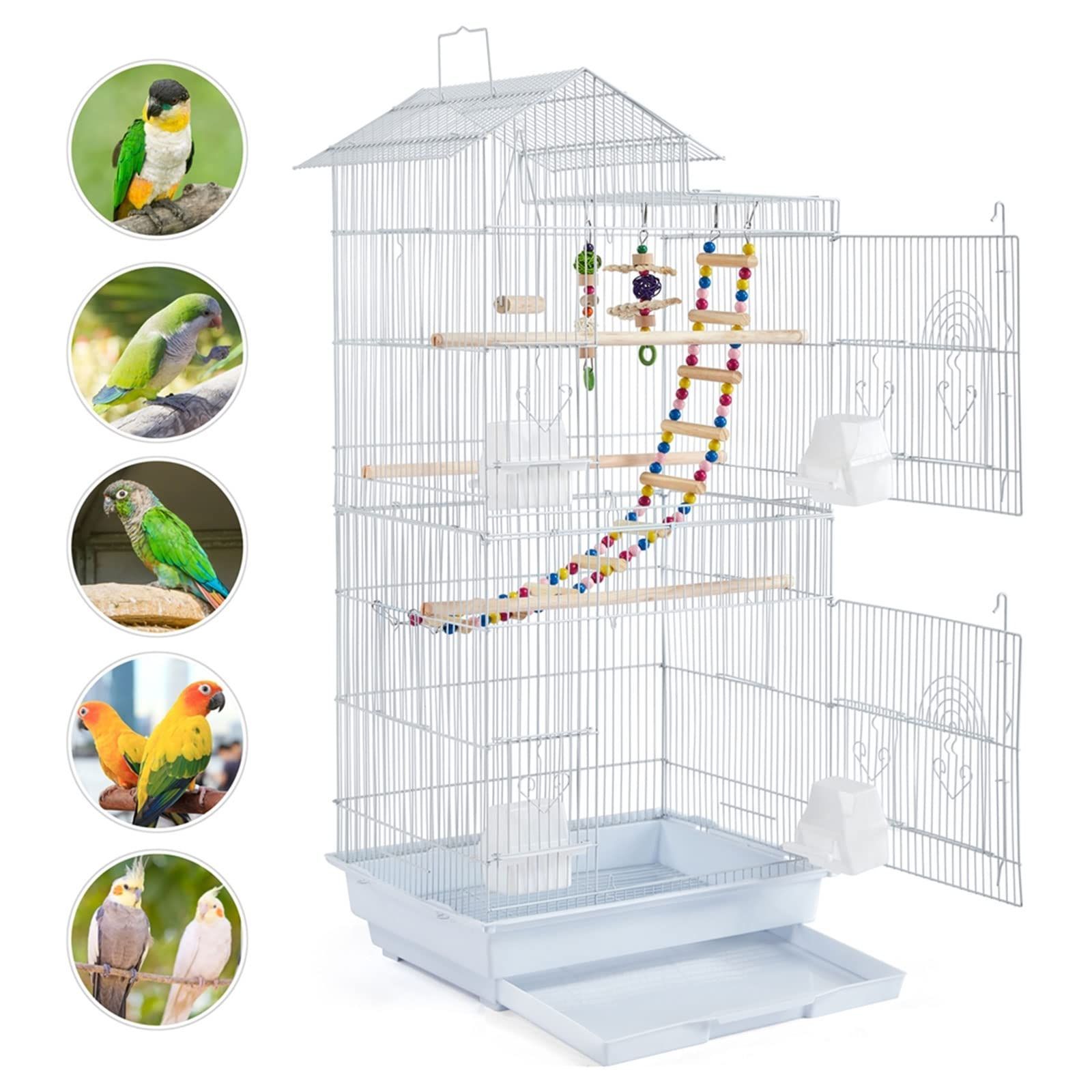 小鳥ホワイト 文鳥