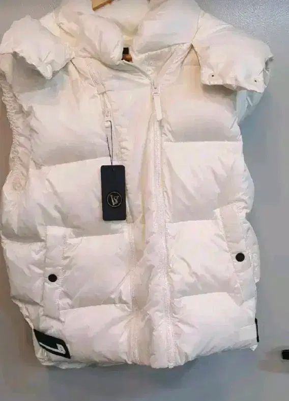 ビーンポール スポーツ レディース 軽量 グースダウン フード ベスト