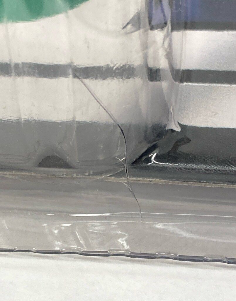 GENTLE GIANT JUMBO ACTION FIGURES HAN SOLO LARGE HEAD 12インチ