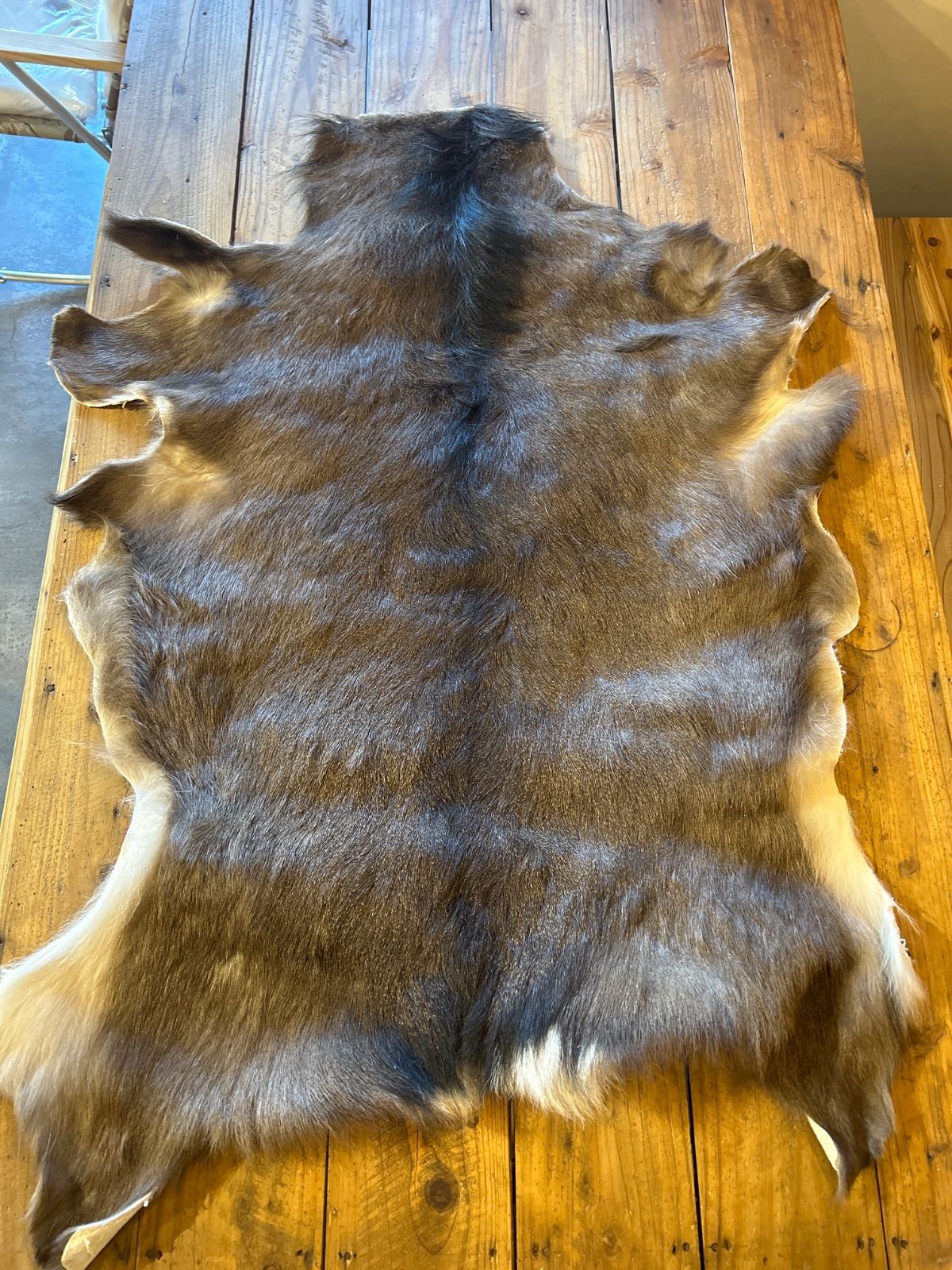 鹿の毛皮 ラグ敷物 毛革 鹿革 鹿5 ブッシュクラフト 野営 キャンプ タペストリー ジカ