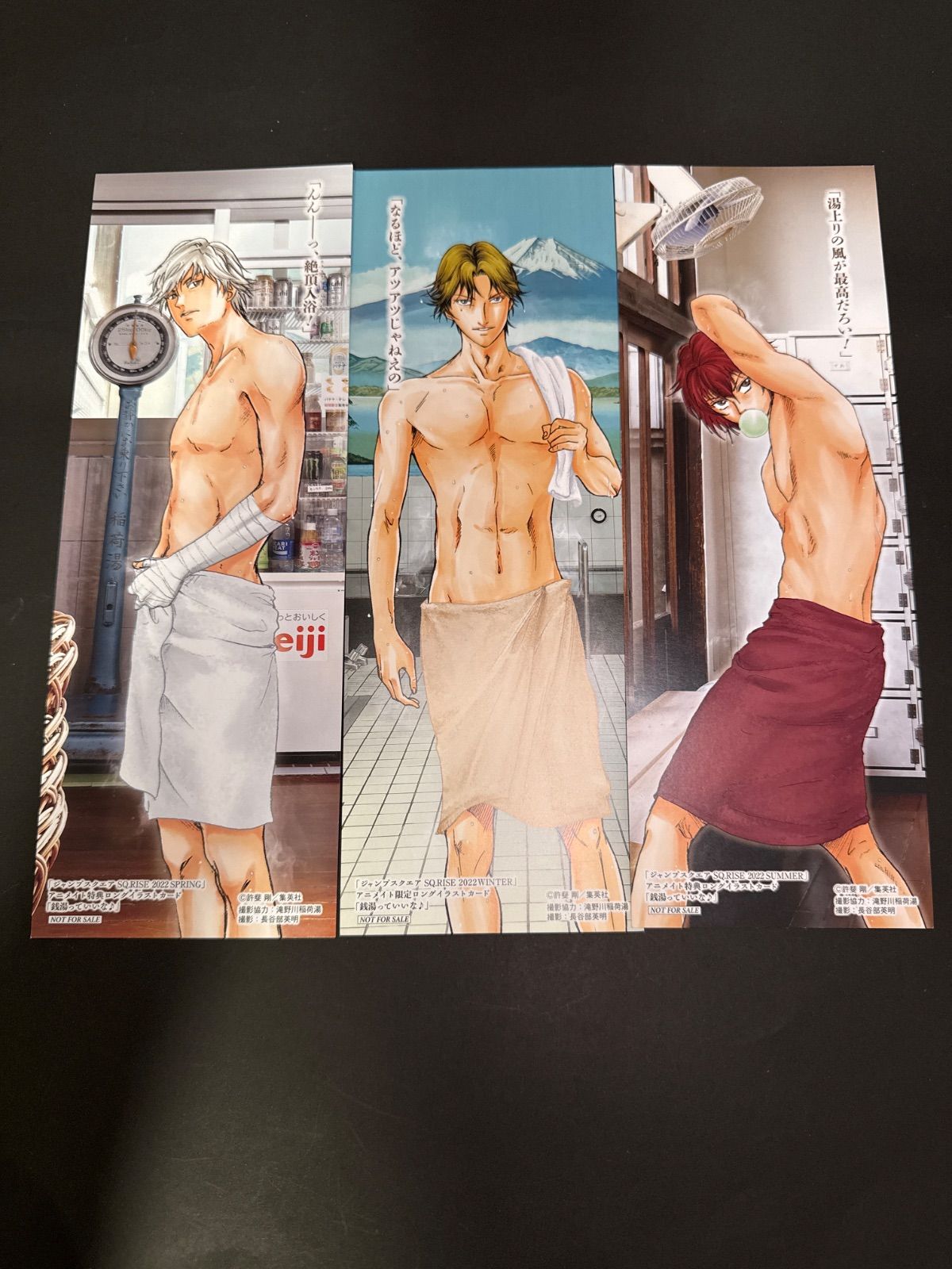 テニプリ 白石蔵ノ介 ロングイラストカード 10枚 テニプリ 白石蔵ノ介 ロングイラストカード 10枚 テニプリ 白石蔵ノ介