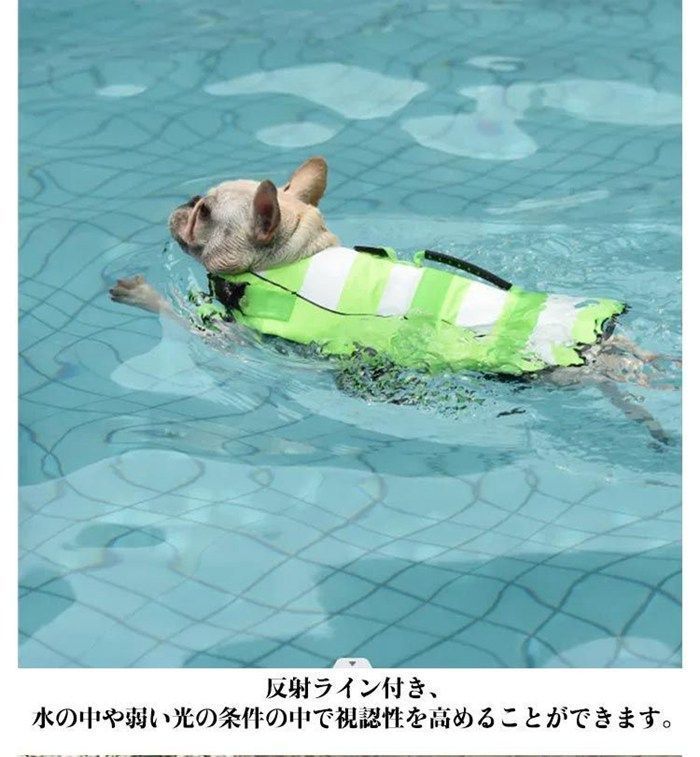 リハビリ 犬用品