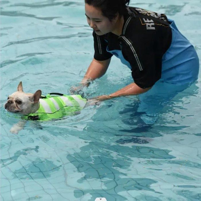 浮き輪 犬用 ライフジャケット 小型犬 中型犬即 OK 大型犬 水遊び 水泳 ライフベスト フローティングベスト 海 川 救命胴衣 反射ライン 安心 リハビリ 犬用品 ペット用品 グリーン 事故防止 安全xiaokb 355