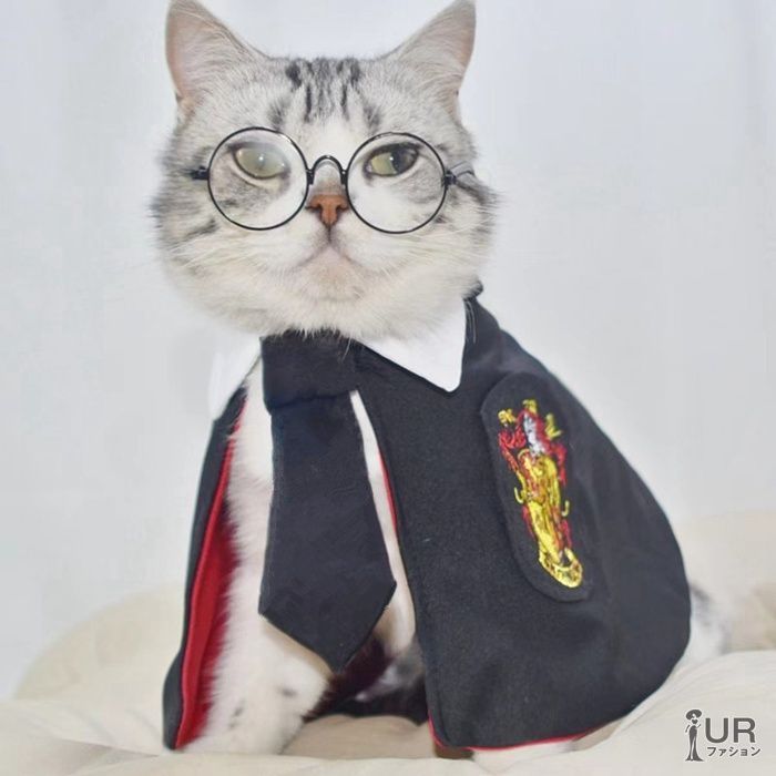 コスプレ ペット服 魔法師 衣装 犬服 猫服 コスチューム ローブ 犬 ネクタイ マント 眼鏡 3点セット liangch 01
