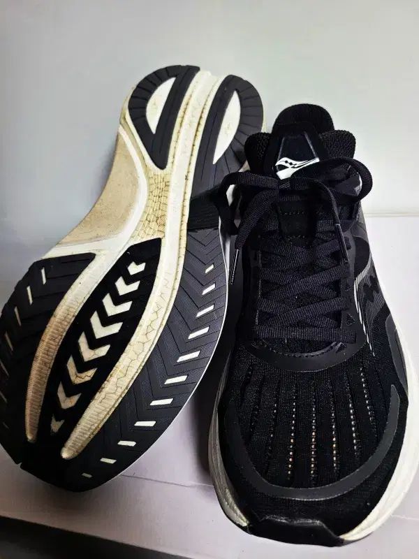 エクスカーション