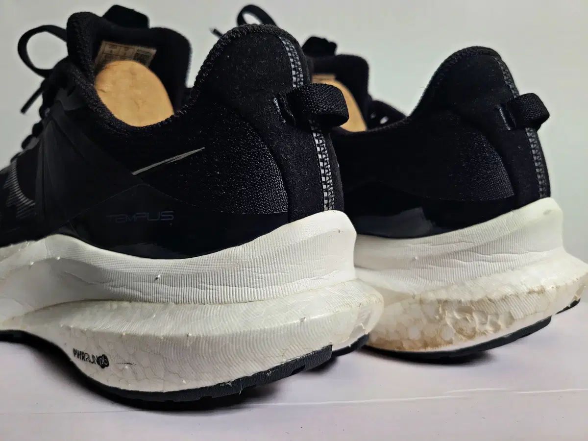 サッカニー エクスカーション