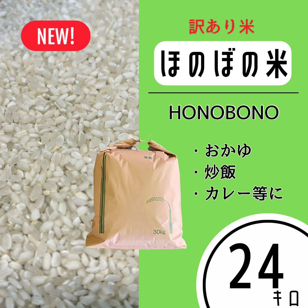 食品 【生活応援米】国内産ブレンド米 白米24kg 訳あり