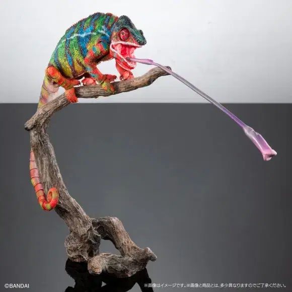 モデル ムバンダイ