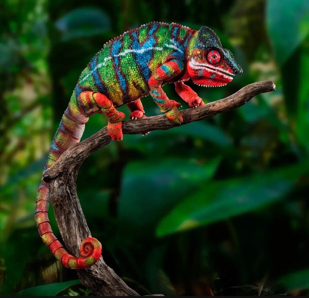 いきもの大図鑑