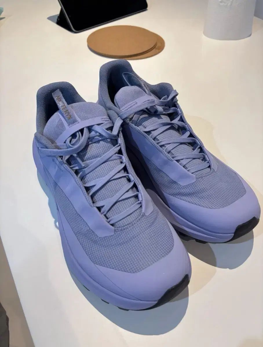 ARC TERYX アークテリクス ノバン LD 4 GTX ゴアテックス ウィメンズ moonstone 245