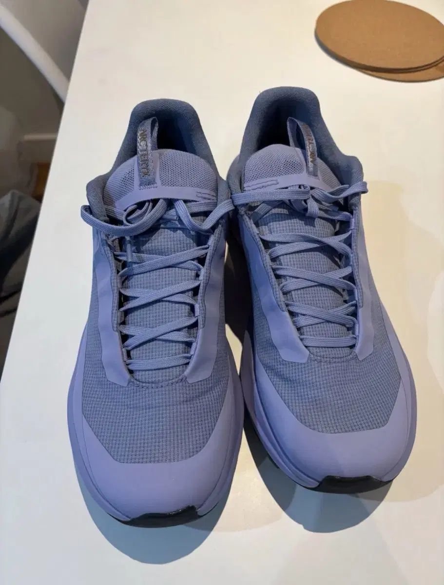 ARC TERYX アークテリクス ノバン LD 4 GTX ゴアテックス ウィメンズ moonstone 245