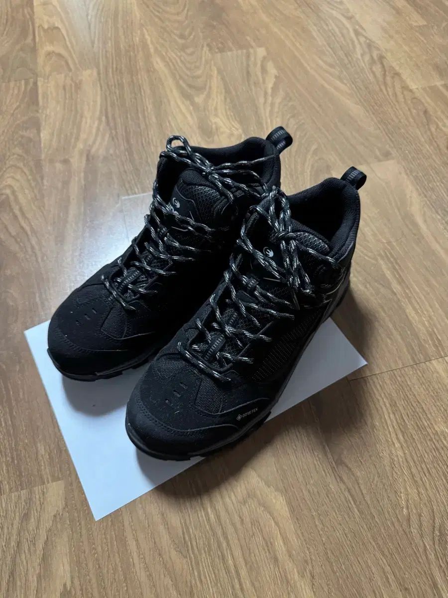 アイダー ヘクタールv 2 ミッド GORE TEX ゴアテックス 登山靴