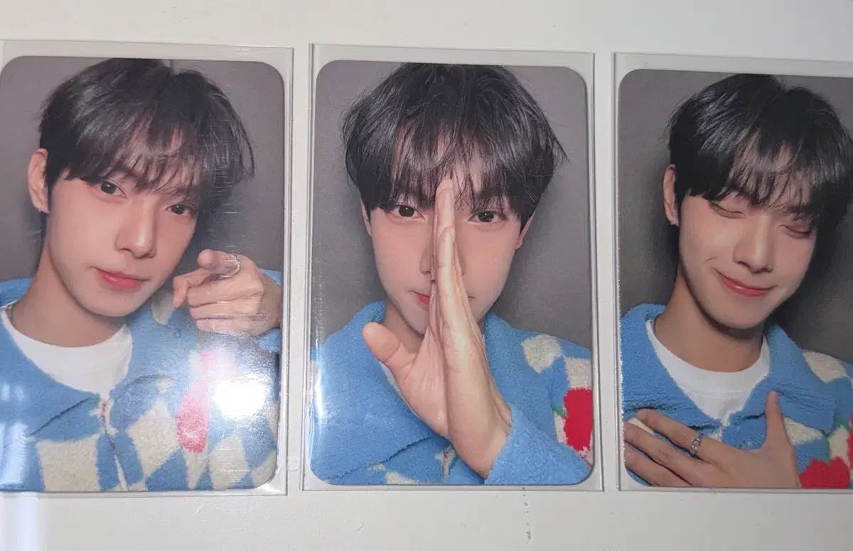 &TEAM dear my muse DMM 特典 トレカ ユウマ &TEAM YUMA ゆうま トレカセット