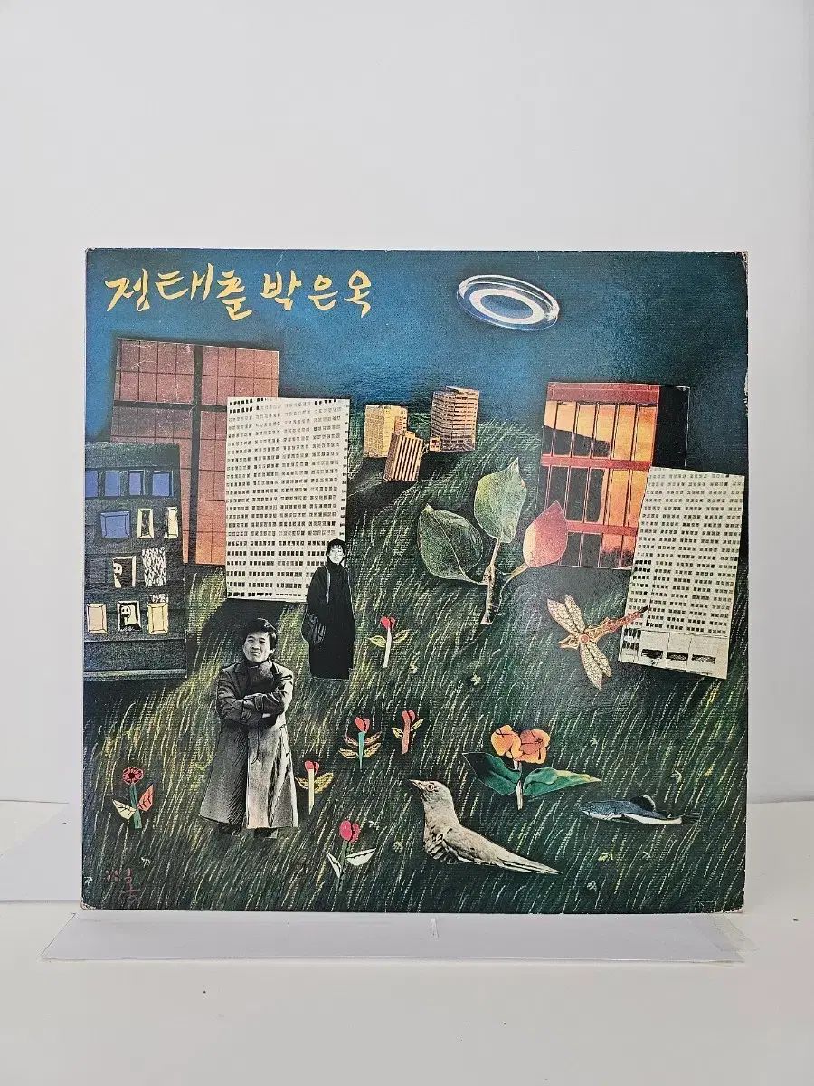 チョン テチュン パク ウンオク 無印 新曲 アルバム LP ビニール