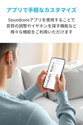 アプリ対応 PSE技術基準適合